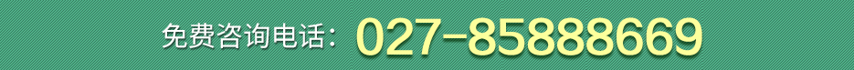 公告2